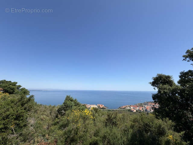 Terrain à COLLIOURE