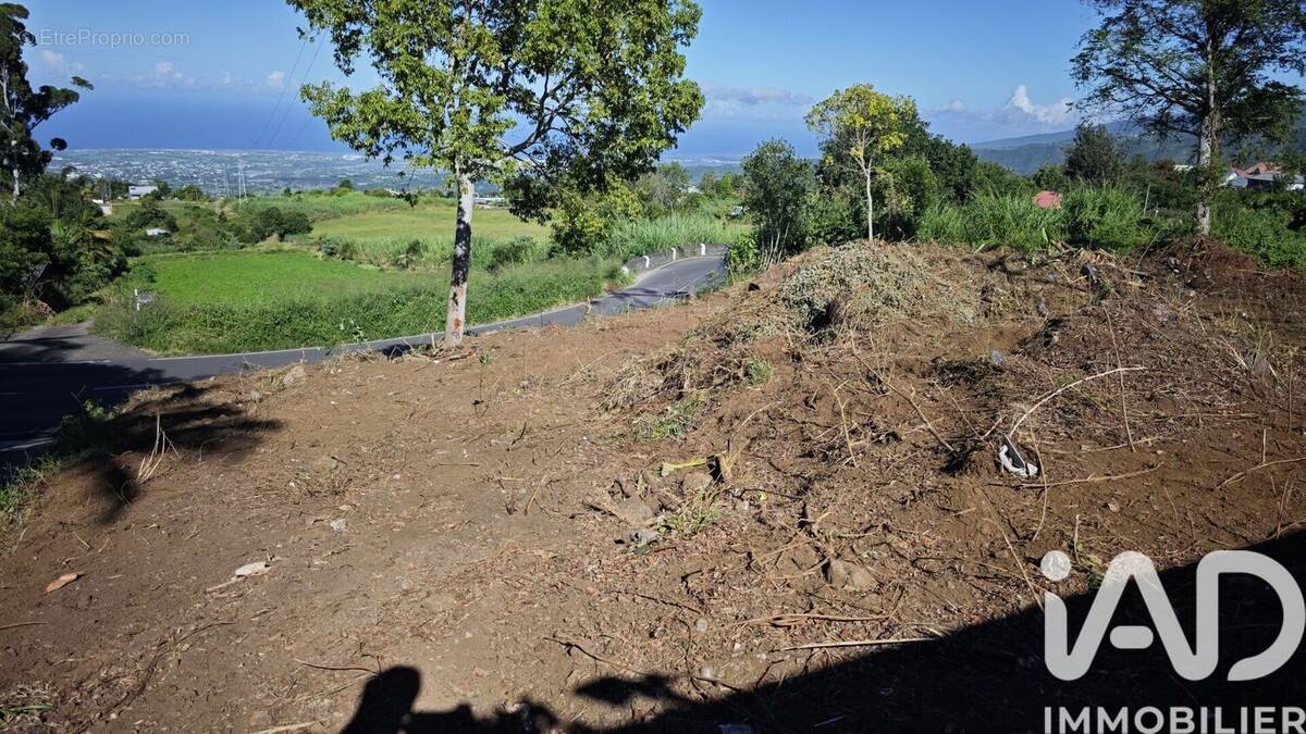 Photo 1 - Terrain à LE TAMPON