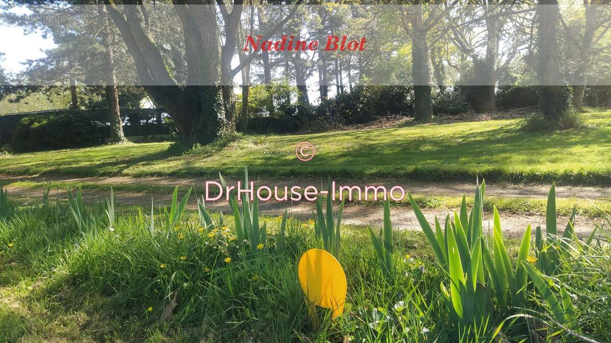 Terrain à SAINT-HILAIRE-DE-CLISSON