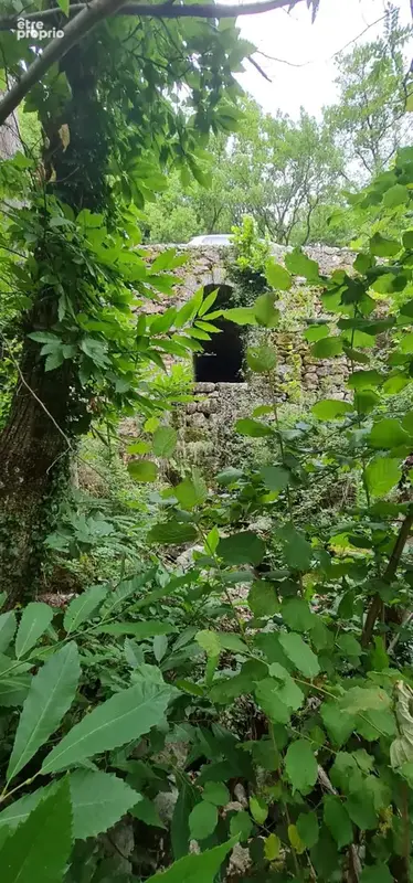 Maison et jardin en bordure de rivière - à rafraîchir - bon toit - photo 26