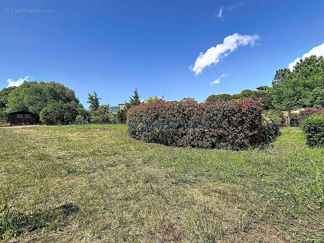 AFA, Maison familiale avec piscine, T2 indépendant et 1 990 m² de terrain - photo 11