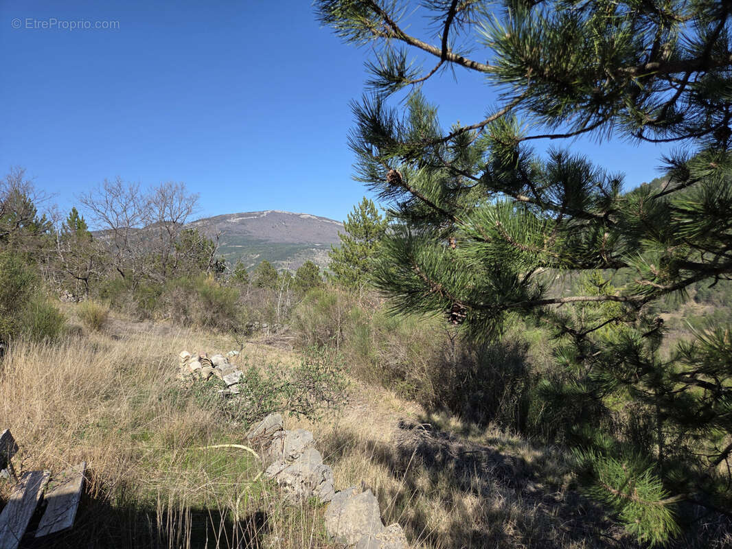 Autre à LA MOTTE-CHALANCON