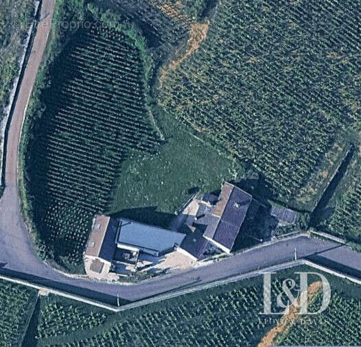 nsemble immobilier avec sa parcelle de vigne  - Maison à NUITS-SAINT-GEORGES