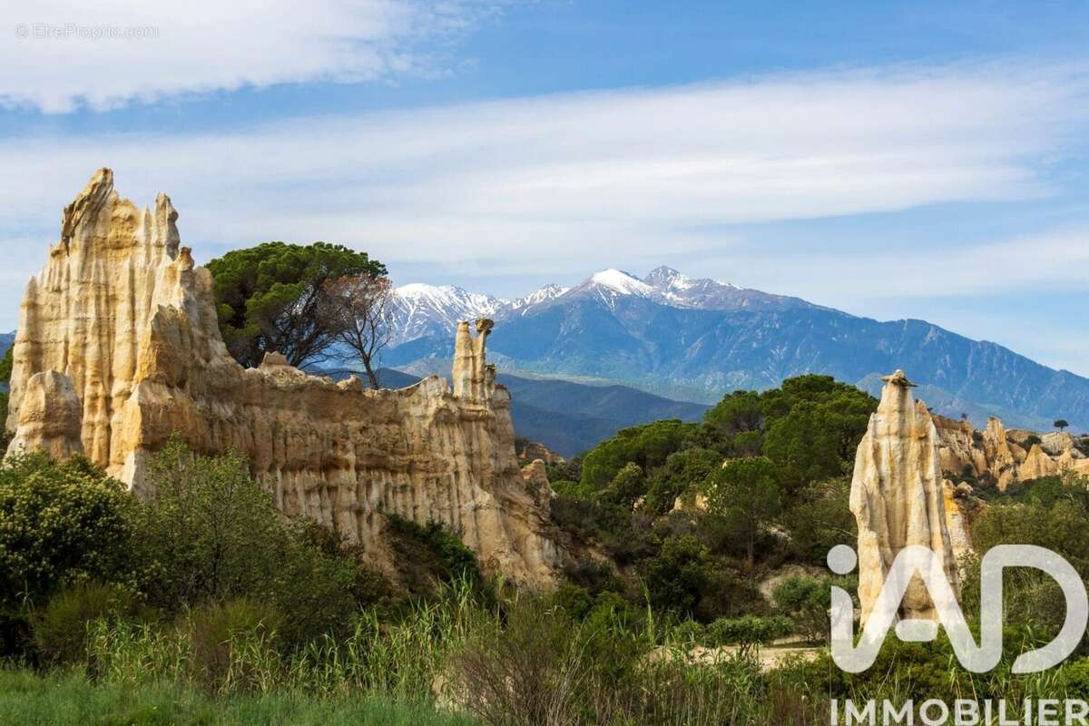 Photo 6 - Terrain à ILLE-SUR-TET