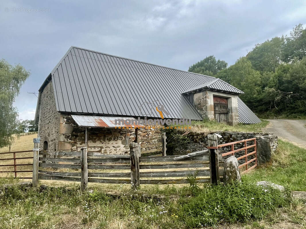 Maison 170 m² à Saint-Cernin  - photo 3