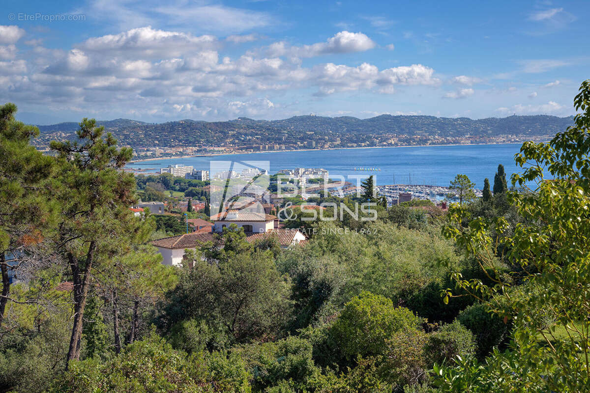 Maison à MANDELIEU-LA-NAPOULE