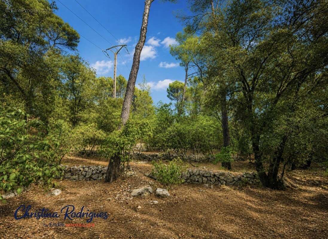 Lorgues terrain a batir - photo 4