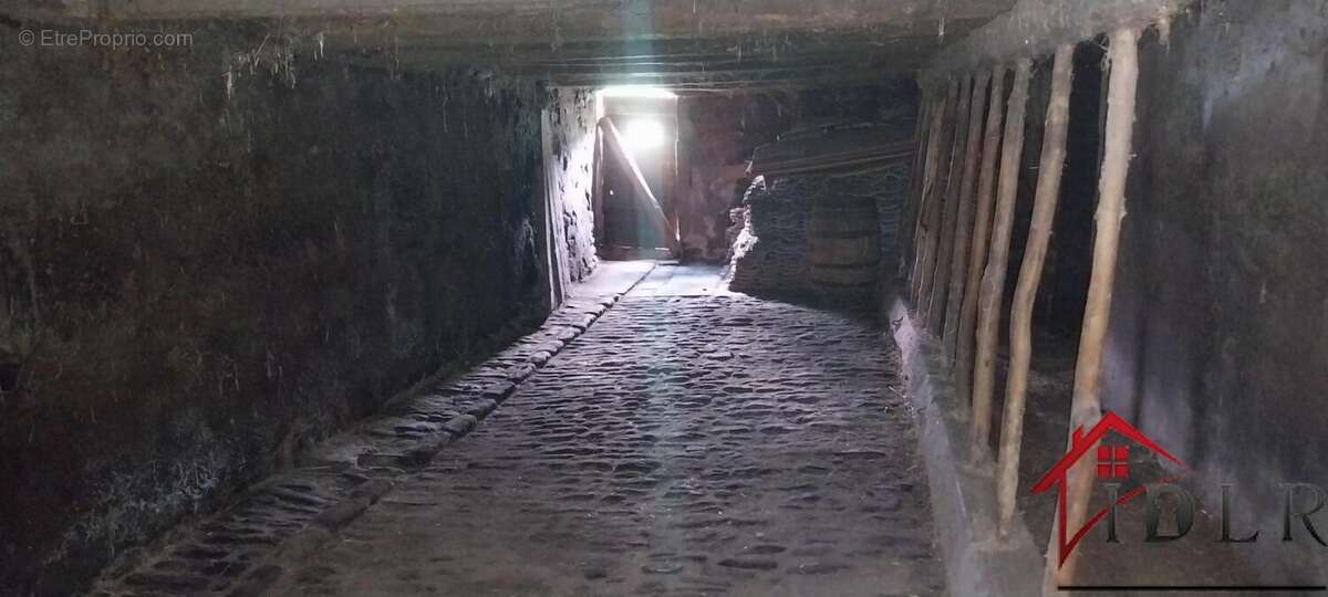 Maison à LA PROISELIERE-ET-LANGLE