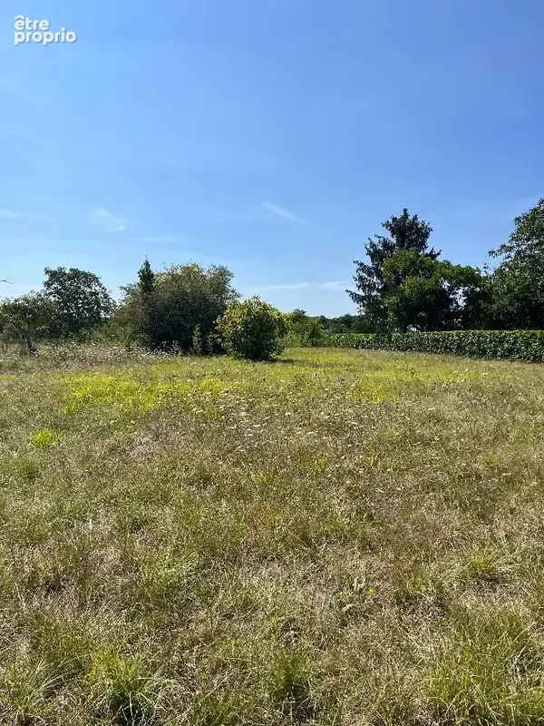 Terrain à SAINT-YZAN-DE-SOUDIAC