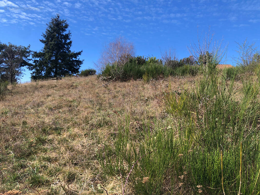 Terrain à CHANONAT