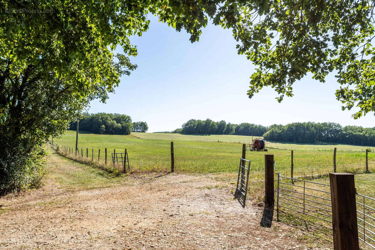 Smallholding in a beautiful location - photo 6