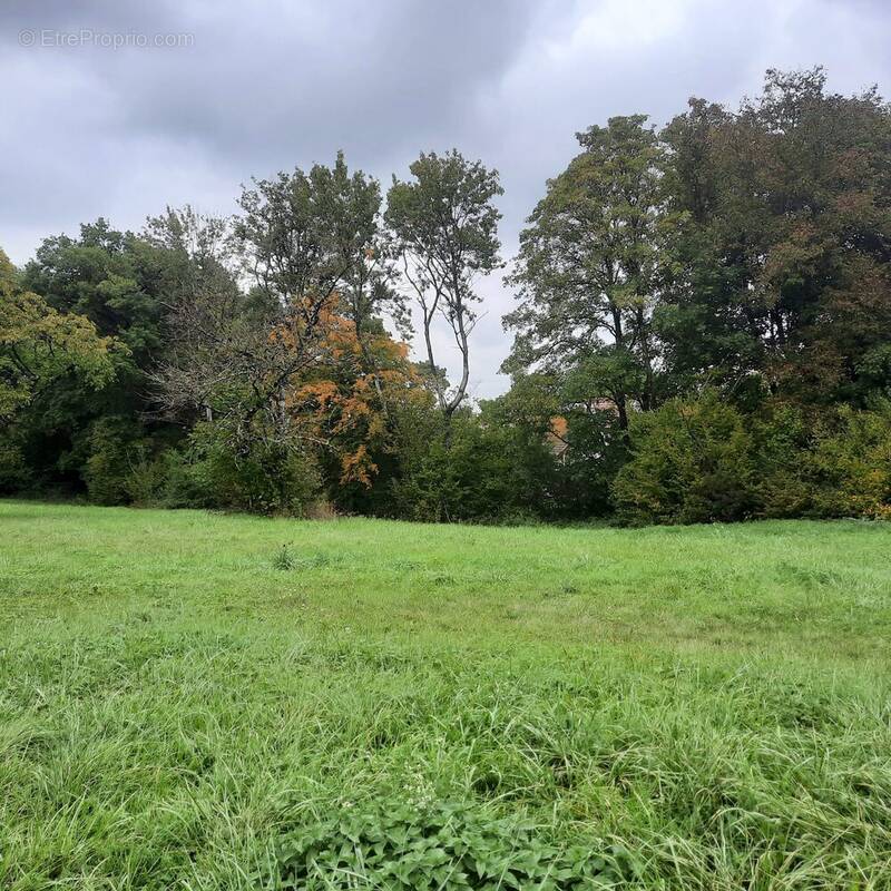 Terrain à CHATILLON-LE-DUC