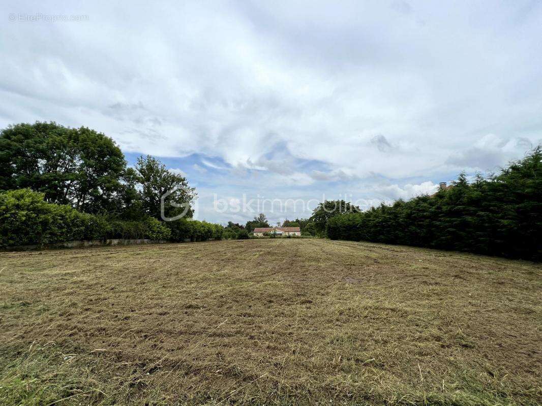 Terrain à TRIE-SUR-BAISE