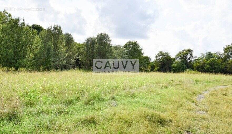 Terrain à MARSEILLAN