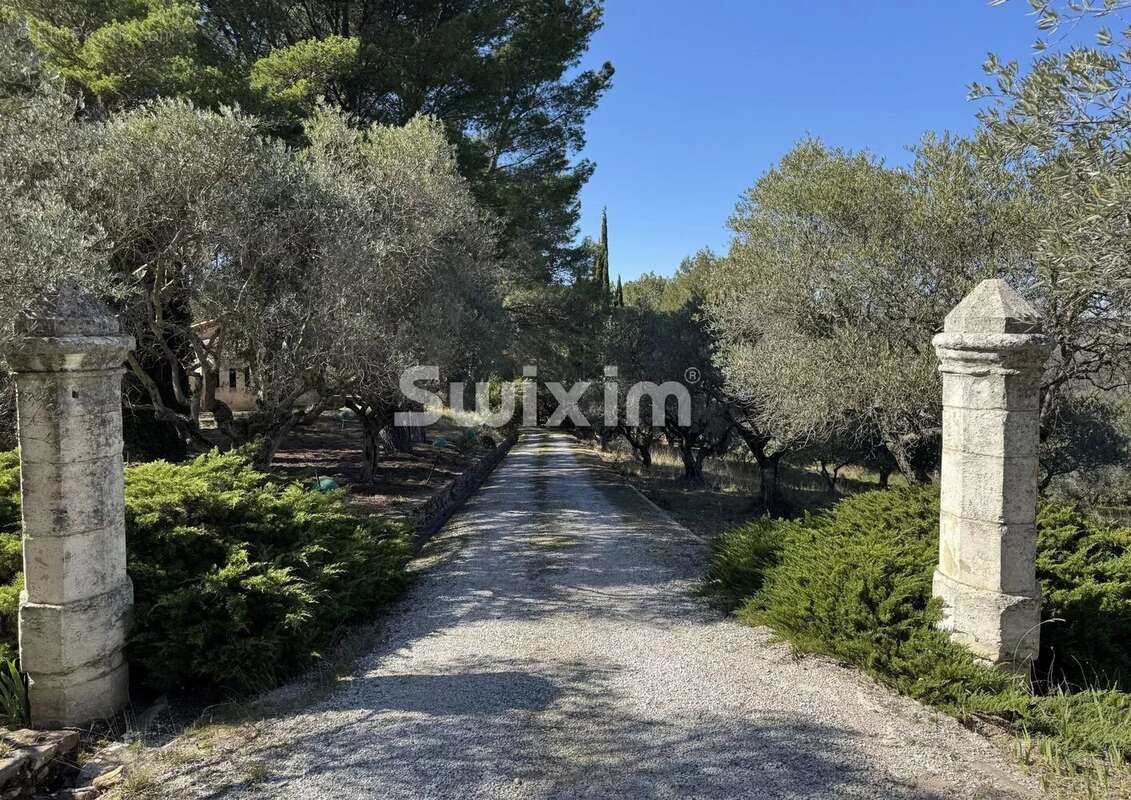 Domaine d'exception de 90 hectares au cœur de la Haute-Provence - photo 5