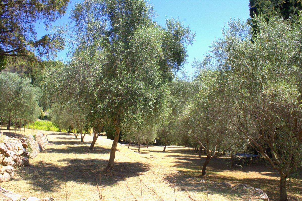 Maison à PEYMEINADE