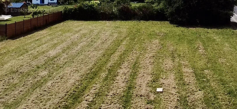 Terrain à SARZEAU
