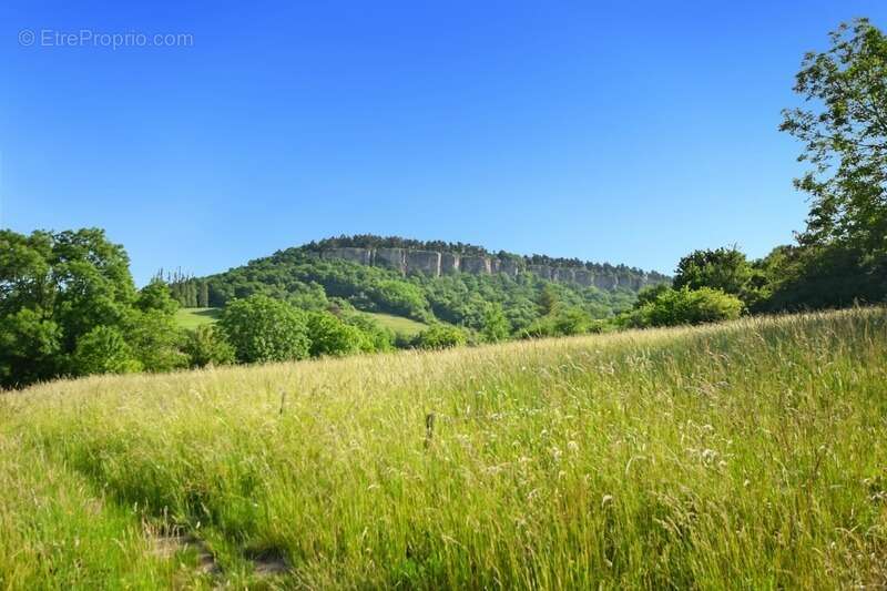Terrain à VAUCHIGNON