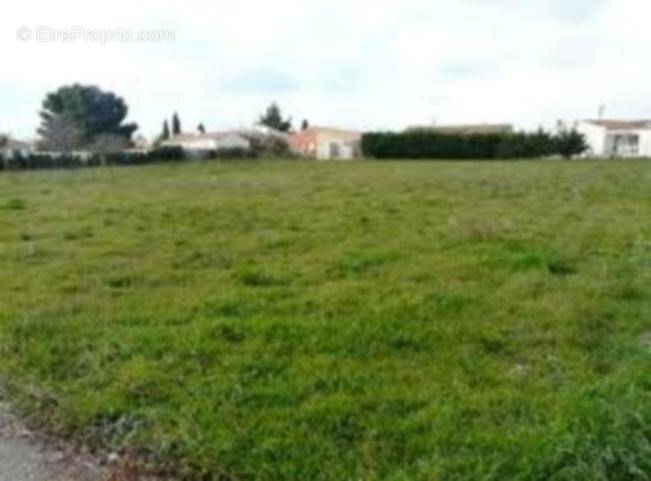 Terrain à BARBEREY-SAINT-SULPICE