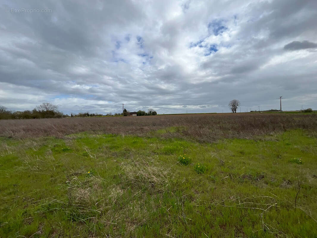 Terrain à POUGY