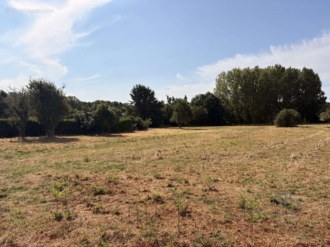 Terrain 534 m² à Benodet  - photo 2