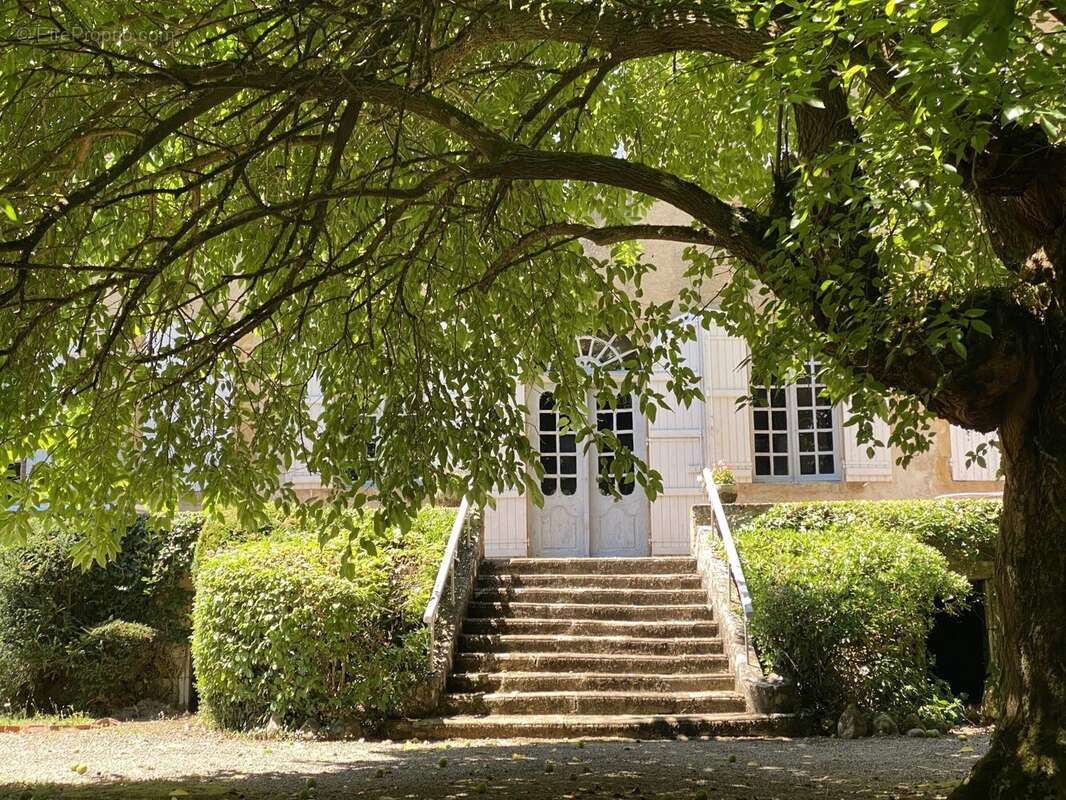 620 m² à Riscle  - photo 7