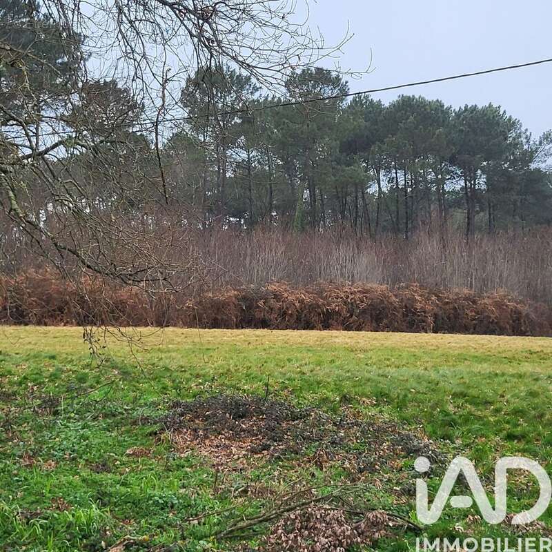 Photo 3 - Terrain à BAZAS