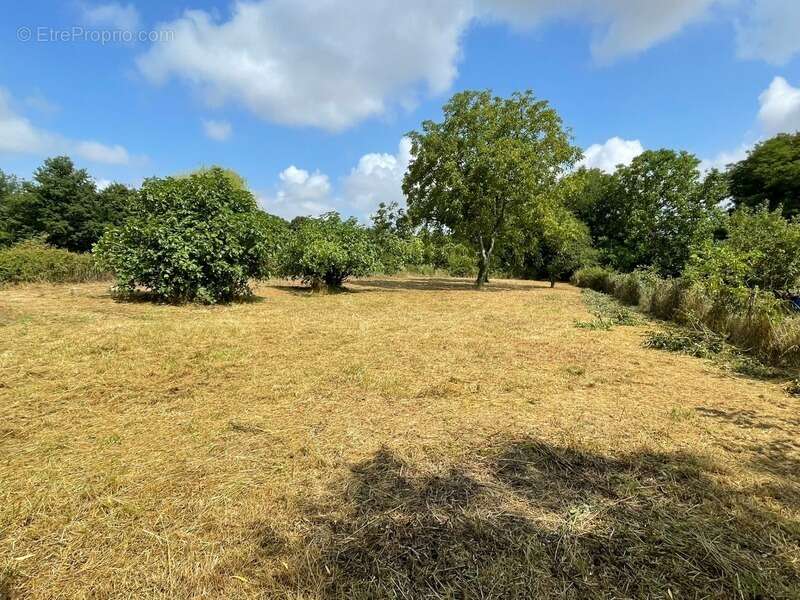 Maison à SAINT-ANDELAIN