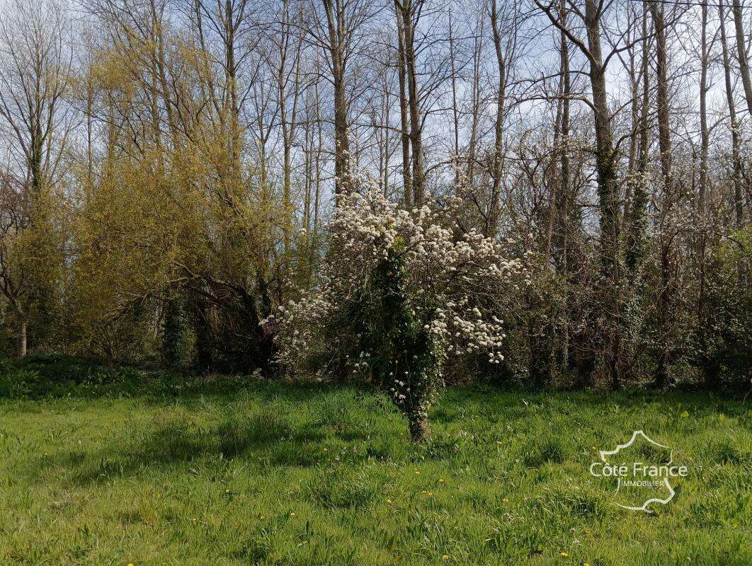 Maison à TOCQUEVILLE