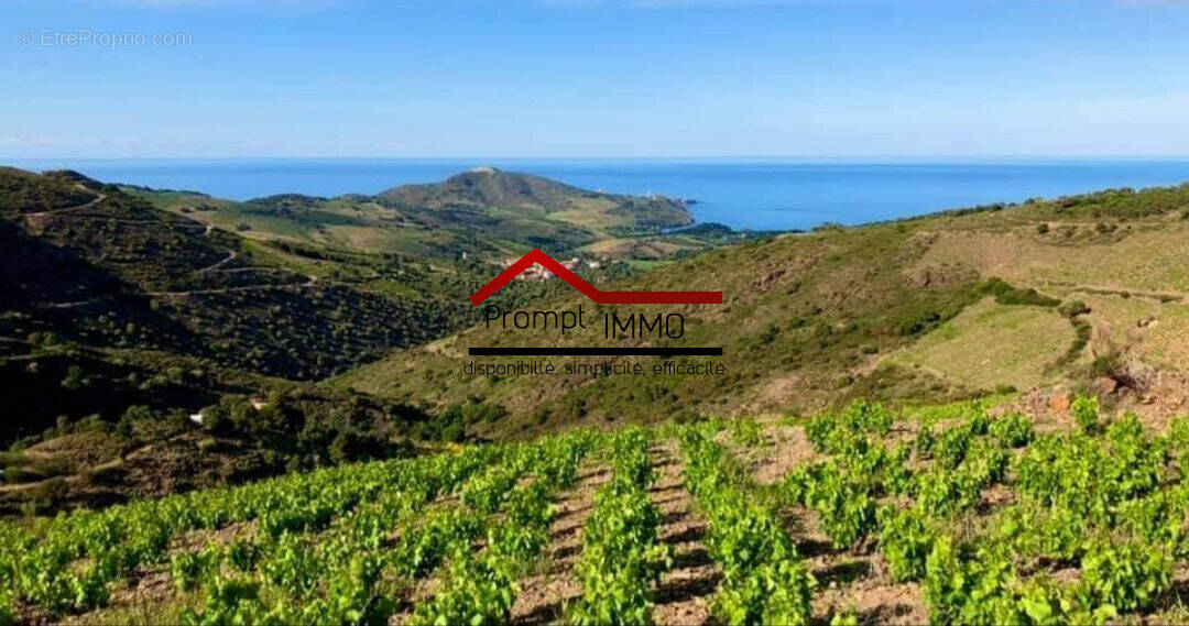 Terrain à PORT-VENDRES