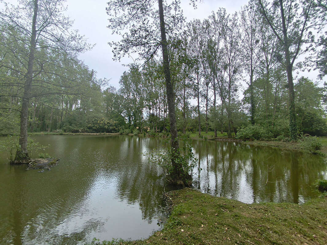 Terrain à MARCILLE-RAOUL