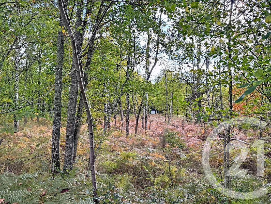 Maison à MENESTREAU-EN-VILLETTE