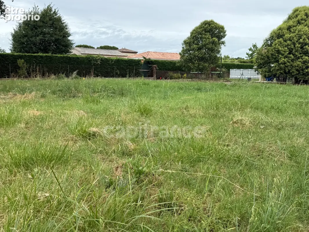 MERVILLE – Terrain à bâtir 949 m² – Environnement calme – 20 min Airbus & Aéroport Toulouse-Blagnac - photo 6