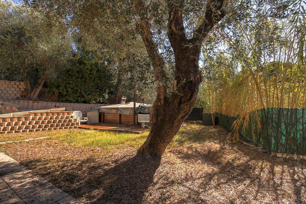 Nice ste marguerite : maison 84 m2 jardin piscine - photo 15