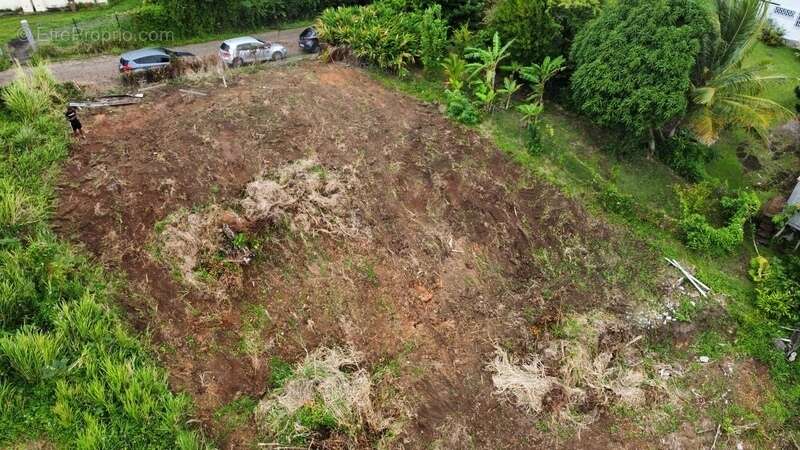 Terrain à LA TRINITE