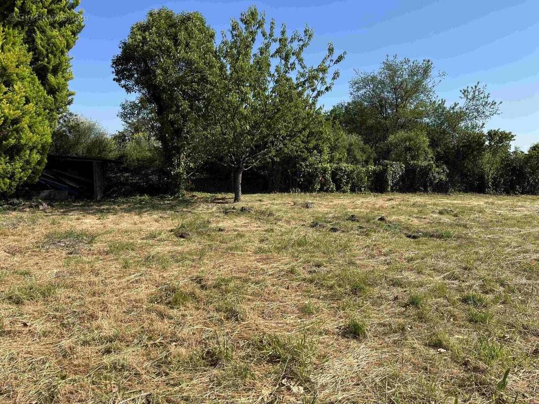 Terrain à CHATEAUBERNARD