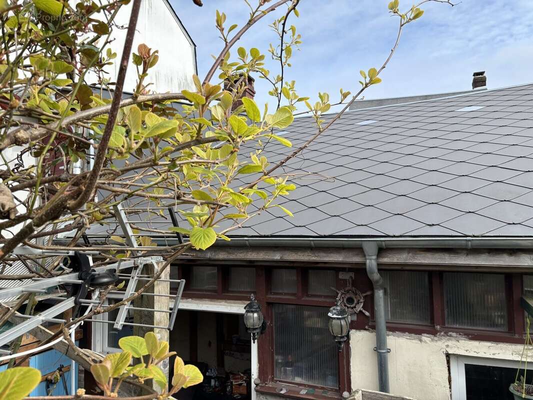 Maison à FRIVILLE-ESCARBOTIN