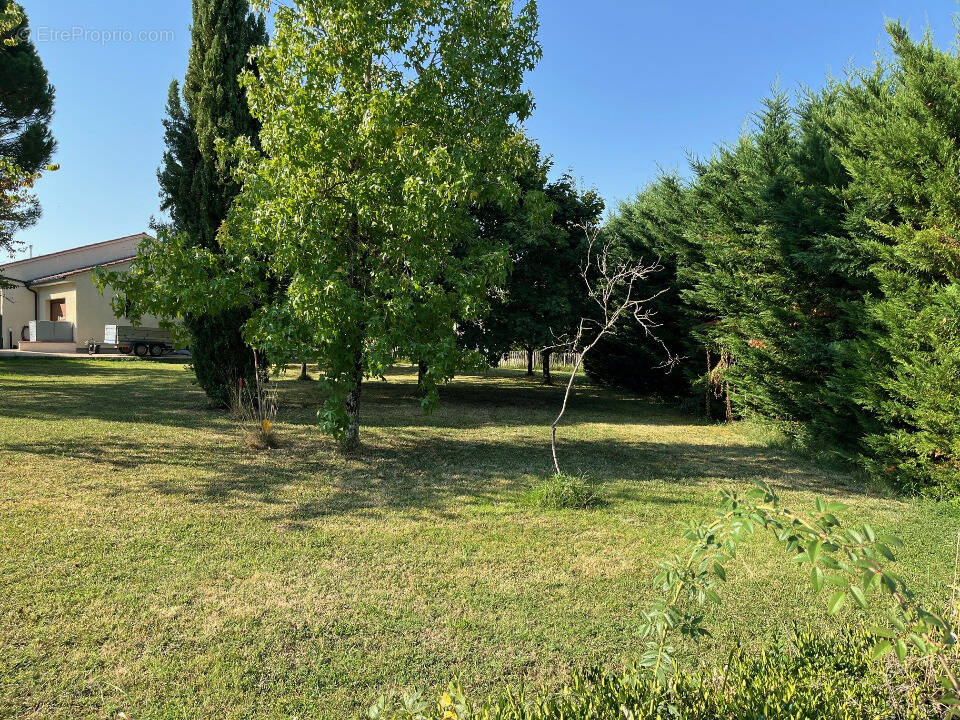 Terrain à DENAT