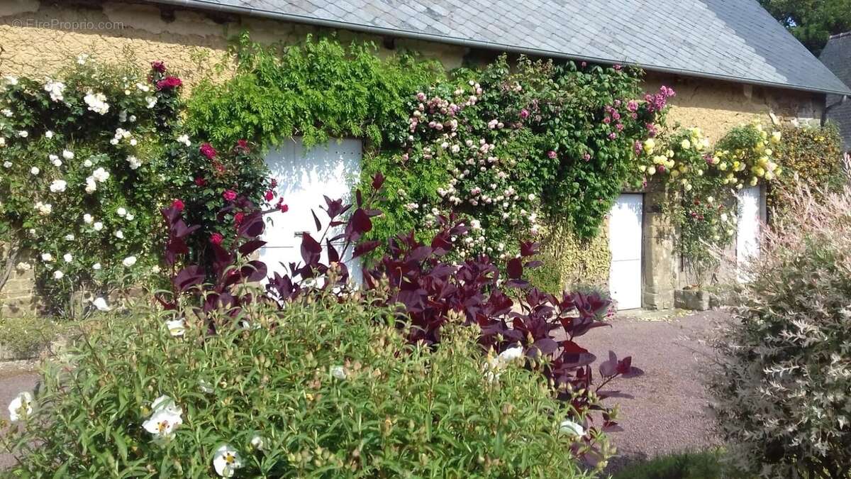 Maison à DOMJEAN