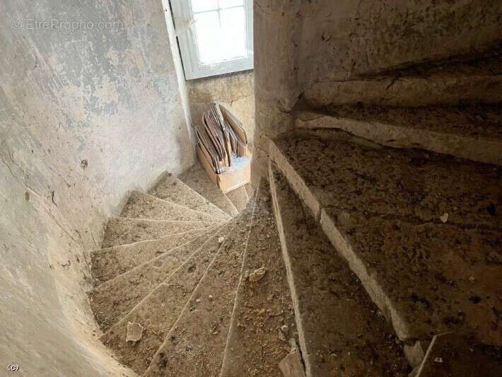 Appartement / Local Commercial avec Courette - photo 11