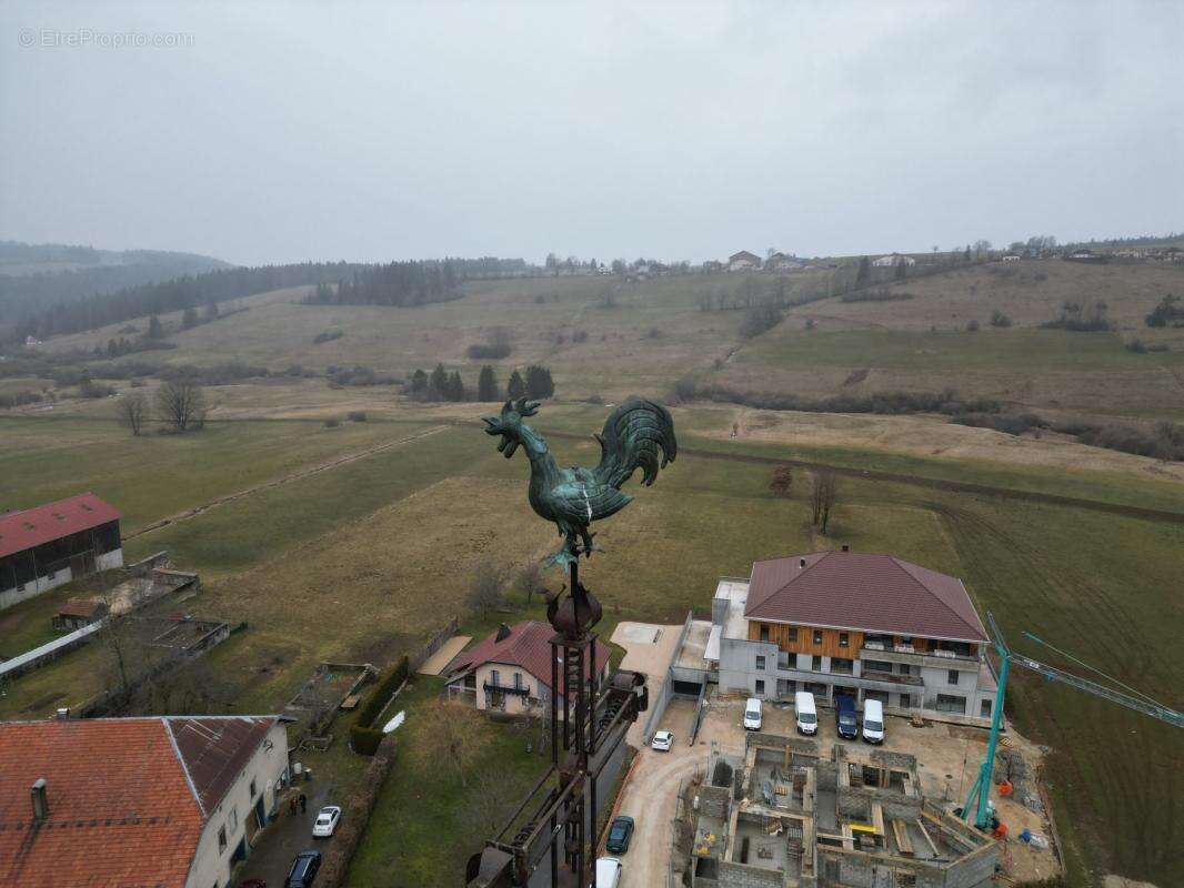 Terrain à LONGEVILLES-MONT-D&#039;OR