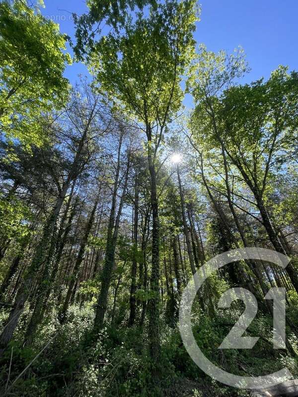 Terrain à MONTAUBAN