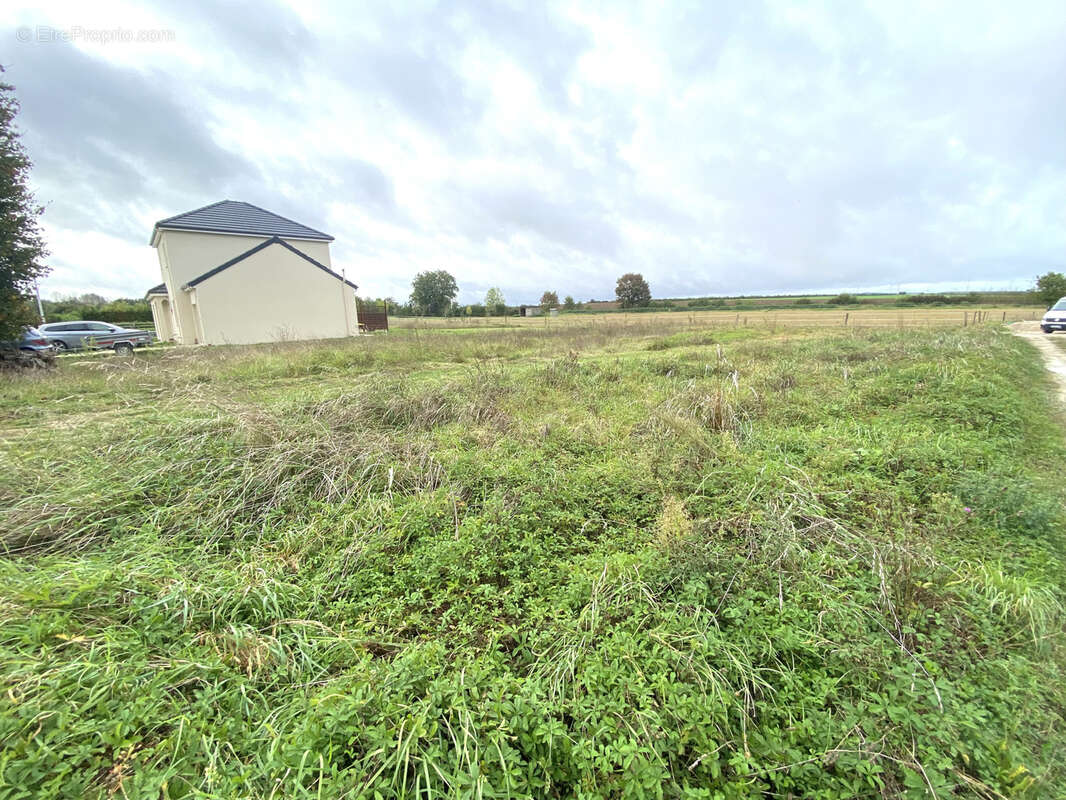 Terrain à AUBETERRE
