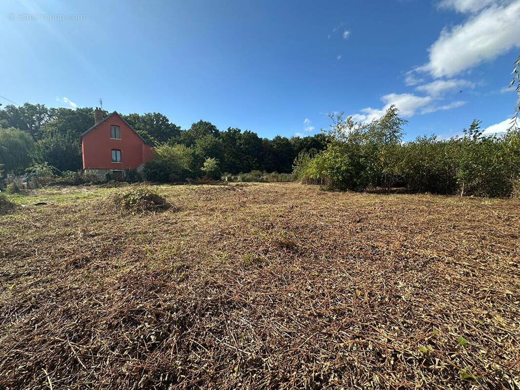Terrain à MENNESSIS