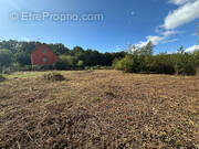 Terrain à MENNESSIS