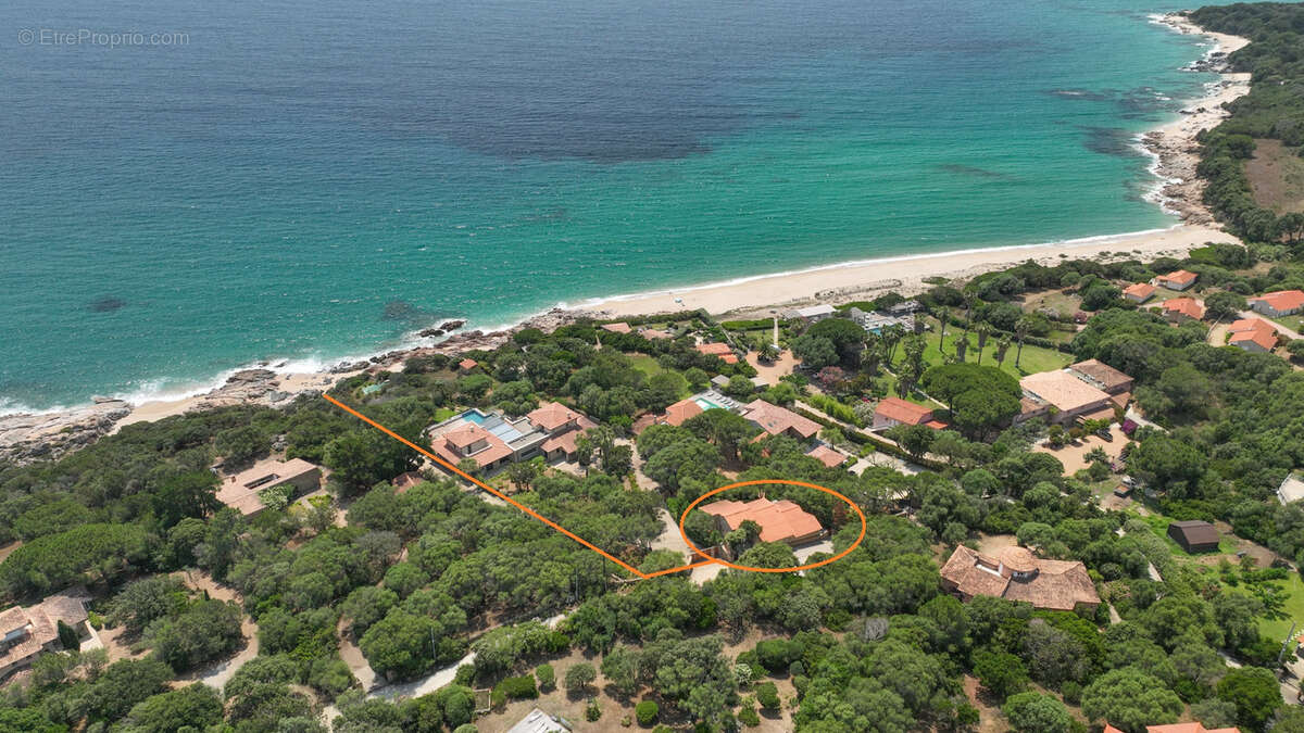 Appartement à OLMETO