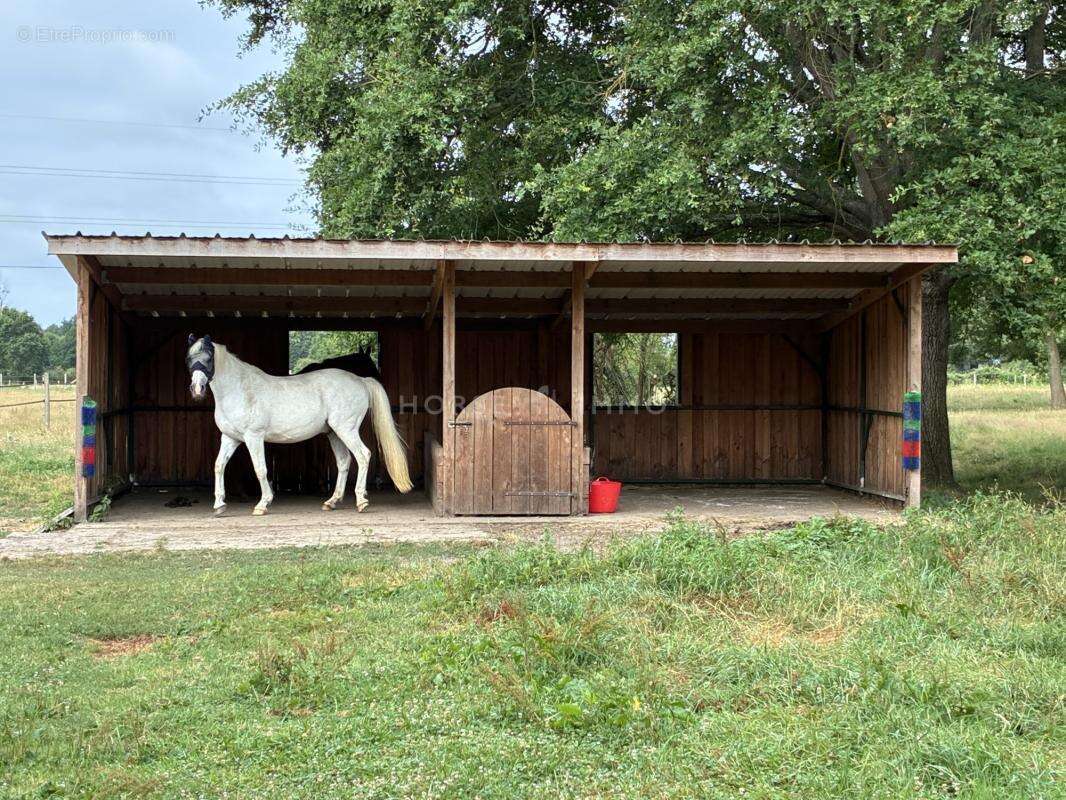 Un havre de paix sur 5,4 hectares aux portes du Mans - photo 2