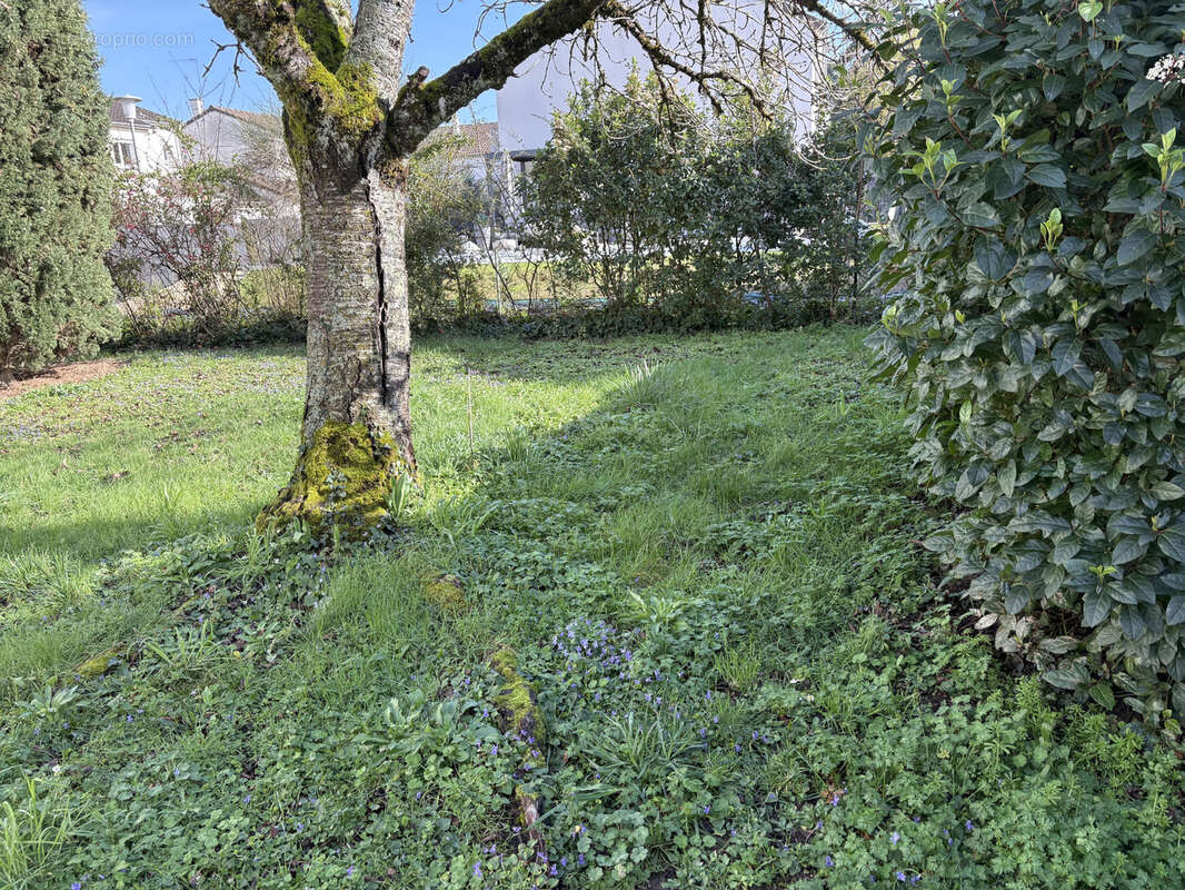 Maison à CHATELLERAULT