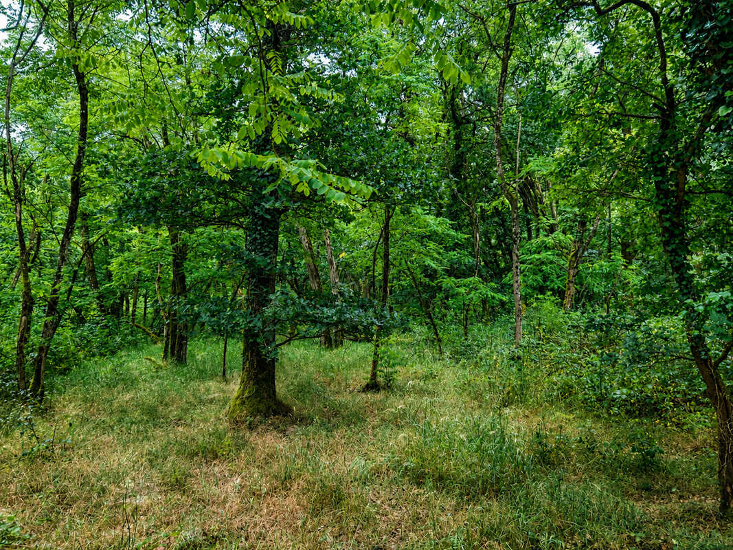 Terrain à SELLES-SUR-CHER