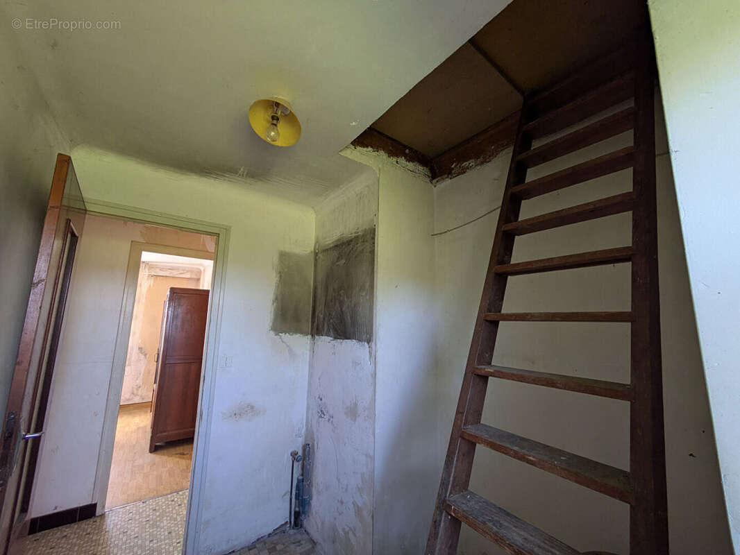 Saint dolay - photo 14